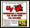 Urgencias Veterinarias-atencin integral de mascotas