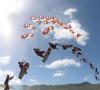 Adrenaline Kite School-instructores