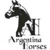 Argentina Horses-clases de equitacion