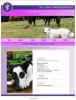 Veterinaria natural y holistica-cuidado de mascotas