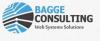 Bagge Consulting Providing Best IT Solutions-diseo web