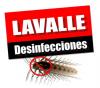 Foto de Lavalle desinfecciones-desinfecciones y control de plagas
