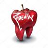 Foto de Zedental-laboratorios -mecanica dental