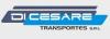 Di Cesare Transportes SRL-transporte internacional de cargas