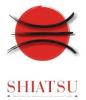 SHIATSU en Villa Ballester-tratamiento japons para eliminar el
