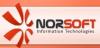 Norsoft-desarrollo de aplicaciones web, comercio electronico