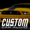 Custom Car Audio-gps garmin