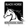 Foto de Black Horse  Biotecnologa Equina