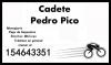 Cadete Pedro Pico