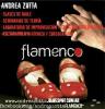 Foto de Andrea zotta / clases de flamenco