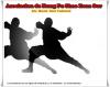 Foto de Kung Fu Shaolin  en Zoan Sur