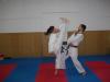 Taekwondo WTF Han Mu Kwan