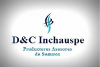 D&C Inchauspe
