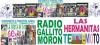 Radio Gallito Moron