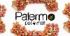 Palermo Petmall