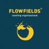 Foto de Flowfields Consultora