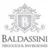 Baldassini Negocios & Inversiones