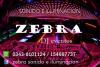 DJ Zebra Eventos