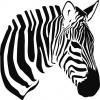 Foto de Radiadores zebra