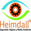 Heimdall Consultora