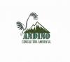 Andino Consultra ambiental