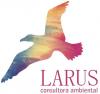 Larus Consultora